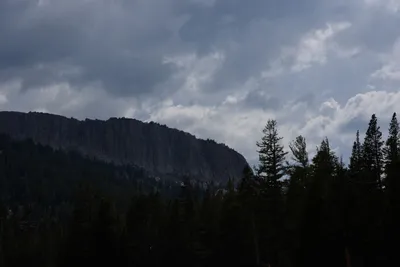 DSC_2975 (Large).JPG